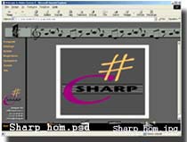Sharp_hom